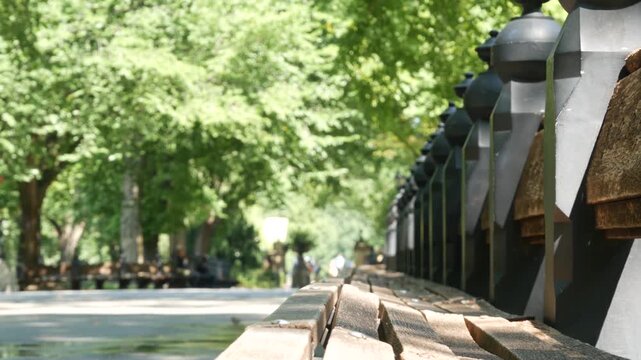 Raw of wooden benches in Central Park of New York City, United States. People on summer day in Manhattan, USA. Defocused perspective, green trees in american park.