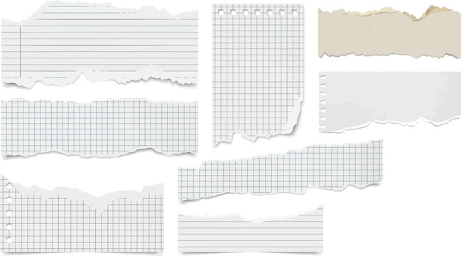 Torn graph notebook paper vector set with ripped lined sheet scraps for scrapbook