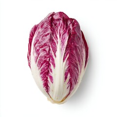 Fototapeta premium Close Up Of A Radicchio Lettuce With White And Purple Leaves Isolated On White Background