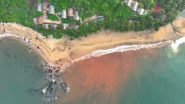 Drone View of Cola Beach with Tropical Forest and Shoreline in Goa, India