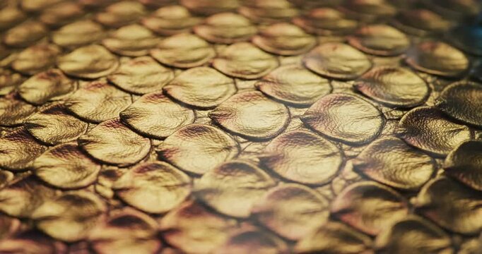 Golden and blue fish scales pattern.