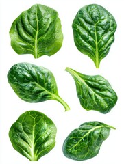 Fototapeta premium Fresh Green Spinach Leaves Detailed Texture Isolated White Background Studio Lighting Healthy Food Ingredient
