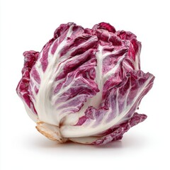 Fototapeta premium Fresh Red Radicchio Lettuce Isolated on White Studio Background Vibrant Purple and White Leafy Vegetable Healthy Food Ingredient