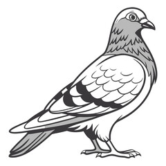 Fototapeta premium Stylized illustration of a pigeon standing against a white background