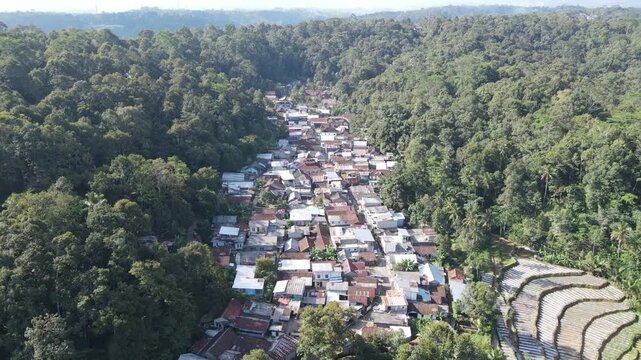 Aerial view of a densely populated village nestled within a lush, tropical jungle, showcasing a harmonious coexistence between human settlement and nature's bounty, with terraced fields visible