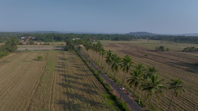 Aerial drone view of Parra Road in summer