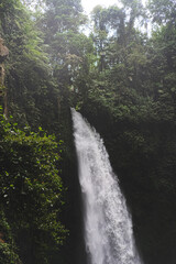 Fototapeta premium Powerful waterfall cascading through dense tropical jungle in Bali