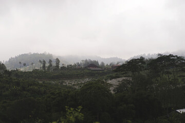 Fototapeta premium Traditional Balinese village and farmland on misty hillside