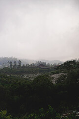 Fototapeta premium Misty tropical hillside village with farmland and traditional houses
