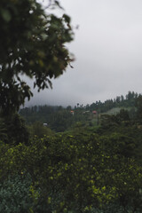 Fototapeta premium Tropical hillside with village homes framed through blurred foliage