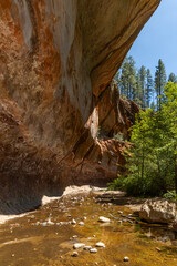 Rock wall jutting out over shallow stream in wilderness landscape © Cavan