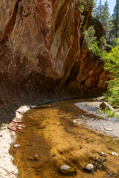 Shallow waterway under rock cliff overhang in wilderness vertical