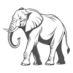 Fototapeta premium African elephant line art illustration standing side view vector graphic