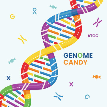 Colorful DNA double helix illustration with candy-like segments and genetic elements, featuring "GENOME CANDY" text.