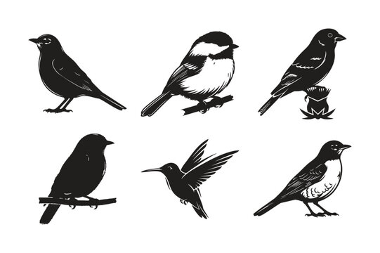 Birds silhouette set bundle small flying perching birds bundle.