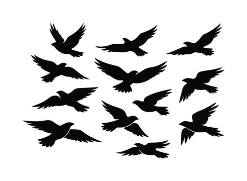 Siluetas de aves volando, conjunto vectorial de p&aacute;jaros en vuelo, dise&ntilde;o minimalista de aves migratorias, elementos gr&aacute;ficos de la naturaleza para proyectos de dise&ntilde;o y branding.
