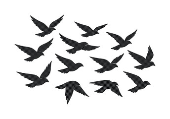 Obraz premium Flock of black birds flying, a group of dark silhouettes in motion, avian wildlife vector illustration, freedom and nature concept for design projects.