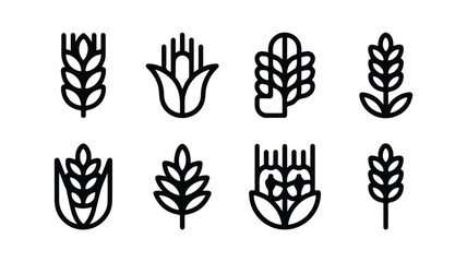 Fototapeta premium Set of grain icons wheat ears and corn simple vector symbols black and white line art agriculture collection silhouette foodstuff botanical