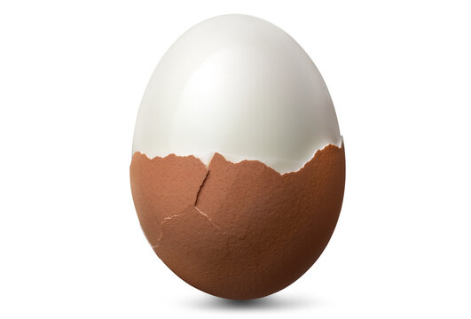茹で卵 / Boiled egg
