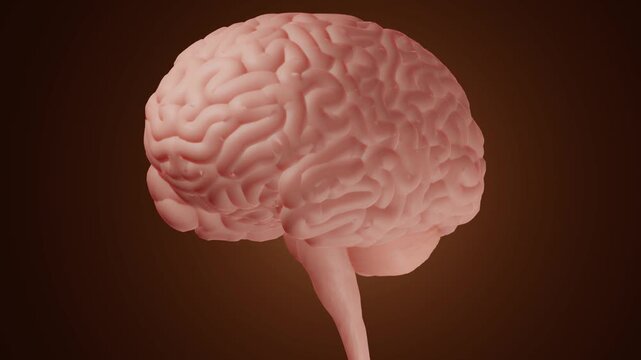 3d brain health and mind idea head concept human science graphic cgi visual effect