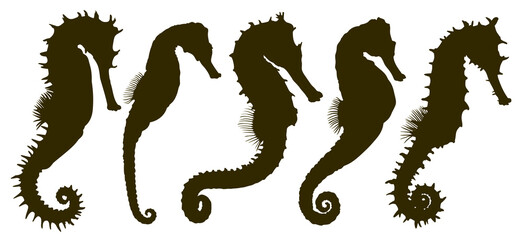 Set of silhouettes of different sea horses.  © designer_an