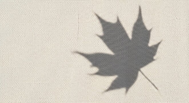 A maple leaf shadow on a textured beige fabric background.