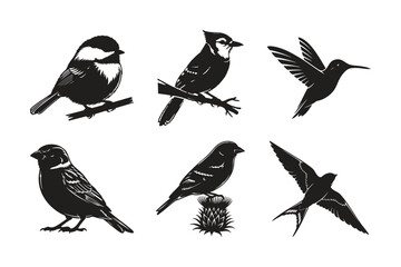 Bird silhouette set bundle vector graphics collection. © MdRafiul