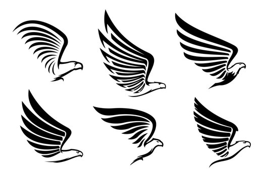 Eagle, falcon and hawk icons with vector silhouettes of flying birds of prey. Eagle head with raised wings and black feathers isolated minimalist art symbols, animal coat of arms heraldic elements