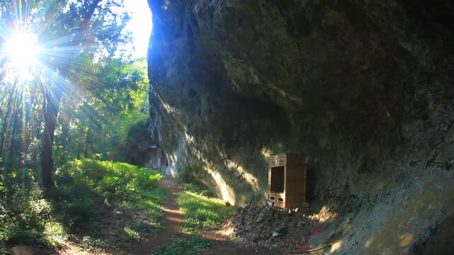 岩谷観音の大岩と木もれ日