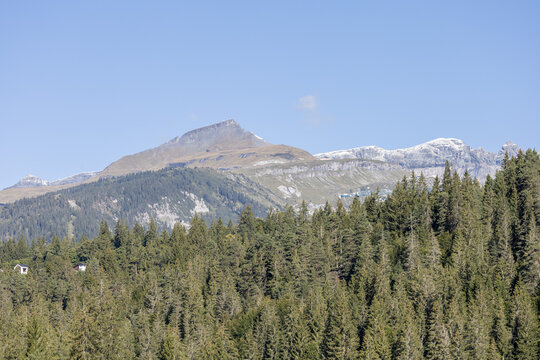 Snow-capped peaks rise above dense evergreen forests. Clear blue sky frames the mountain's majestic silhouette. Stillness and serenity fill the landscape. Ideal for nature, travel