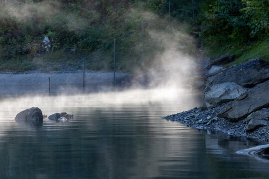Mist curls softly over calm, reflective river surface. Rocks and pebbles line the quiet shoreline. Green foliage frames the misty, tranquil waterside. Sunlight glints gently through the haze