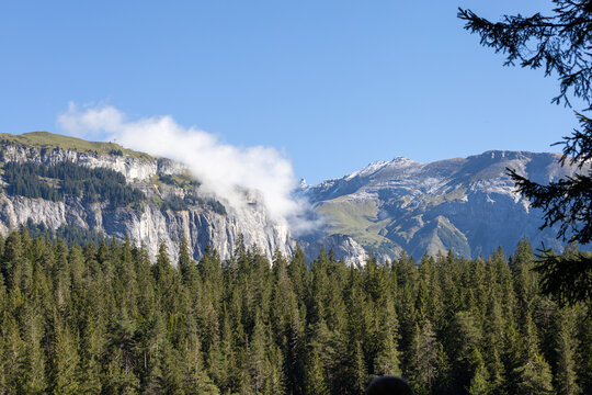 Snow-capped peaks rise above misty valleys. Evergreen forest blankets the mountain slopes. Blue sky adds clarity to the majestic landscape. No people disturb the natural serenity