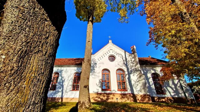 A historic white church with red-framed windows stands proudly under a clear blue sky, framed by towering trees in vibrant autumn colors at Lielvarde, Latvia.