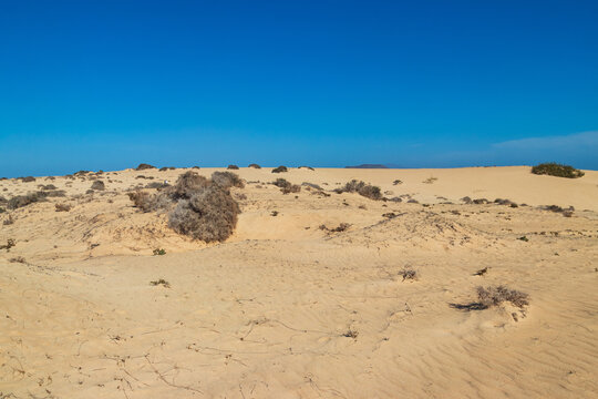 Sand dunes in Corralejo Natural Park on Fuerteventura, Canary Islands, Spain