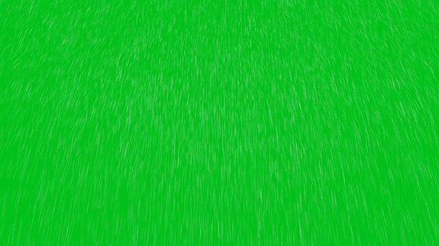Rain effect medium raindrop in rainy season million particle element line with gravity on the green screen