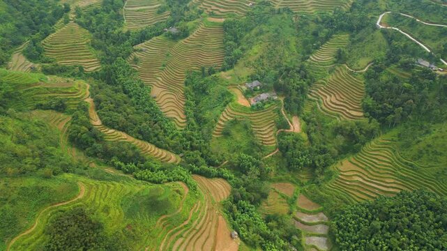 Smooth drone footage over iconic rice terraces in Hoang Su Phi, northern Vietnam. Layered fields and mountain landscape create a scenic, cinematic view perfect for travel, agriculture and nature story