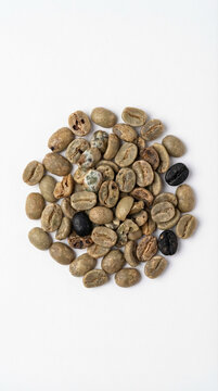 Top view of raw green coffee beans (Coffea arabica) with various physical defects including moldy, black, and insect-damaged beans isolated on a white background