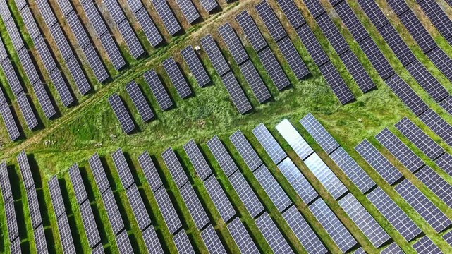 Rows of solar panels stretch across a green field in the countryside. The panels are positioned evenly, absorbing sunlight to produce energy on a clear afternoon.