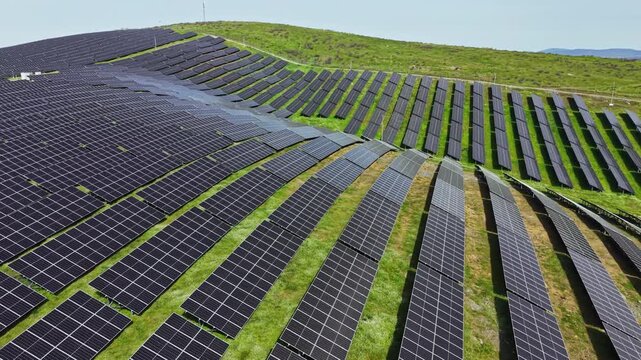 Rows of solar panels span a hillside, absorbing sunlight to generate renewable energy. Green grass grows between the panels under a bright sky. The scene highlights a clean energy initiative.