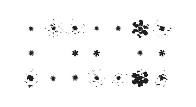 Animated sequence of flower blooming and bursting into petals in motion graphic style on white background.