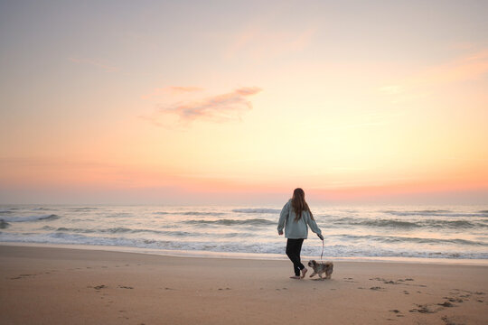 Behind young girl walking Shih Tzu puppy on beach sunrise Cape H