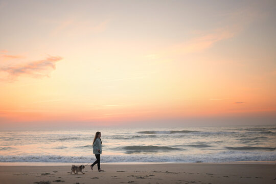 Profile young girl walking Shih Tzu puppy on beach at sunrise Ou