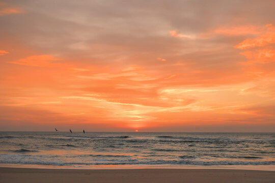 Beautiful pink sunrise on beach with Pelicans Outer Banks