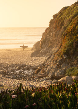 Surfer in golden light on California beach