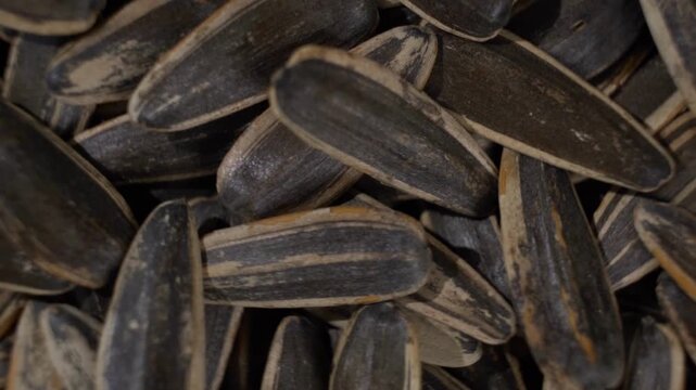 Extreme close up view of sunflower seed shells showing detailed surface texture