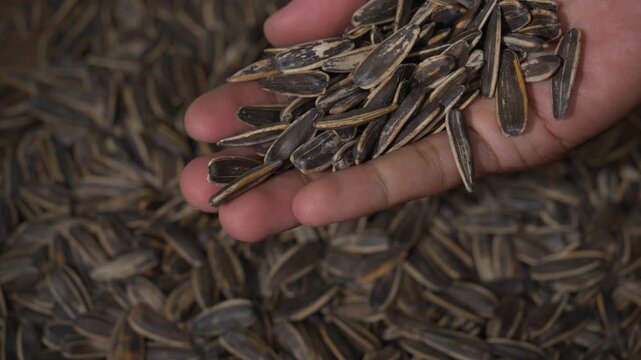 Close up view of a hand grabbing a handful of roasted sunflower seeds from a large pile