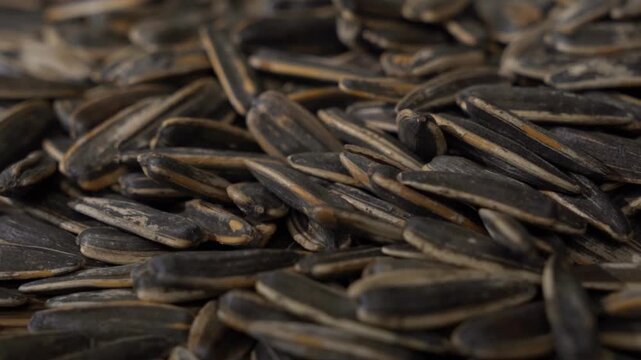 Pouring a generous pile of roasted sunflower seeds in close up view