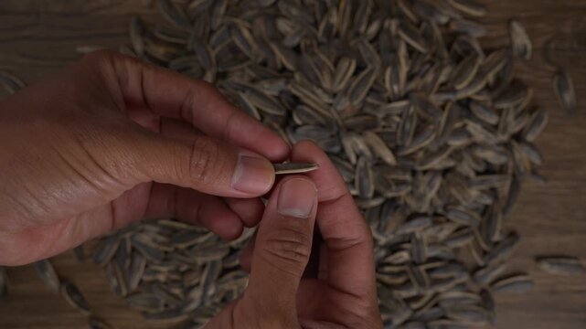 Roasted sunflower seeds being peeled and cracked by hands shown from a direct top view