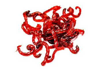 Red worm bloodworms on white background © Volodymyr Shevchuk