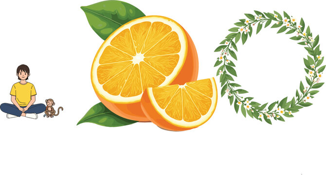 Fresh orange citrus slices with leaves decorative floral wreath and boy with monkey cartoon vector illustration collection